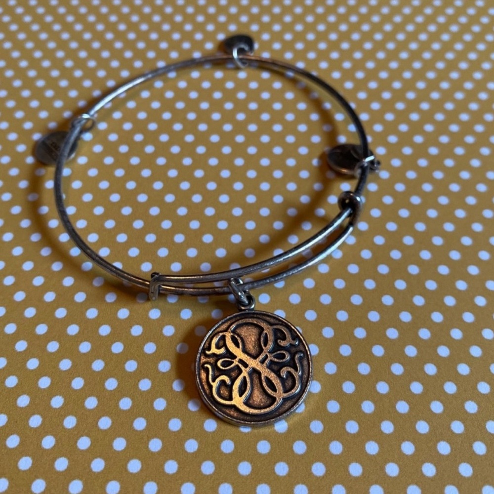 Alex and Ani Path of Life bangle in Raf. Silver - Picture 5 of 8